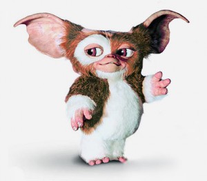Gizmo from Gremlins