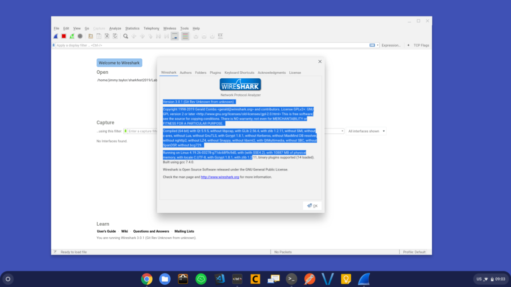 Wireshark 3.0.1 on ChromeOS