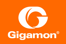 Gigamon